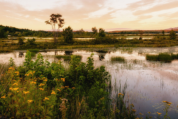20220810-JAH03926-Edit: Tupper Lake, Adirondacks, NY.