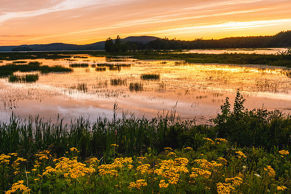20220810-JAH03928: Tupper Lake, Adirondacks, NY.