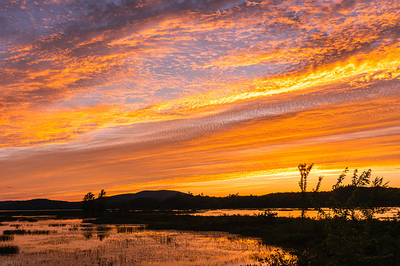 20220810-JAH03945: Tupper Lake, Adirondacks, NY.