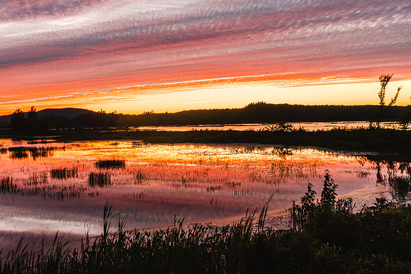 20220810-JAH03963: Tupper Lake, Adirondacks, NY.