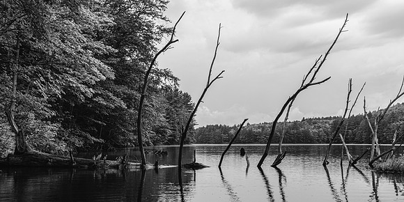 20220811-JAH03968: Bog River, Adirondacks, NY.
