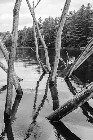 20220811-JAH03970: Bog River, Adirondacks, NY.