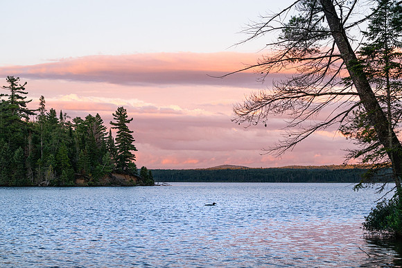 20220811-JAH04035: Lows Lake, Adirondacks, NY.