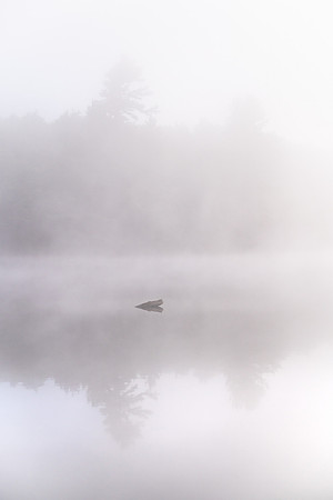 20220813-JAH04137: Lows Lake, Adirondacks, NY.
