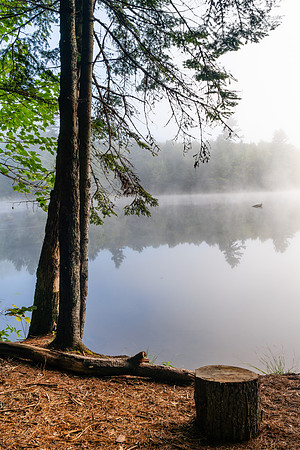 20220813-JAH04151: Lows Lake, Adirondacks, NY.  Camp #26