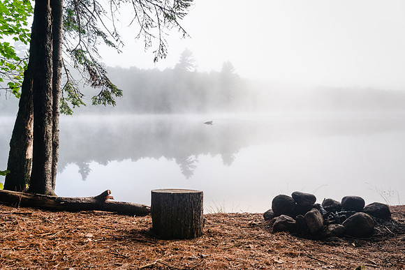 20220813-JAH04154: Lows Lake, Adirondacks, NY. Camp #26