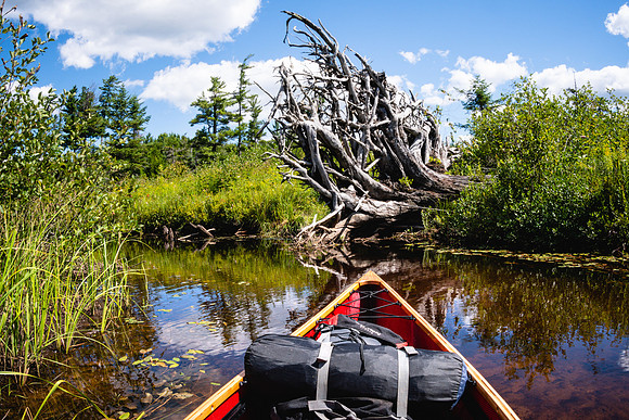 20220814-JAH04223:  Oswegatchi River, Adirondacks, NY.