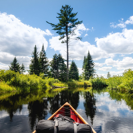 20220814-JAH04294-Edit:  Oswegatchi River, Adirondacks, NY.