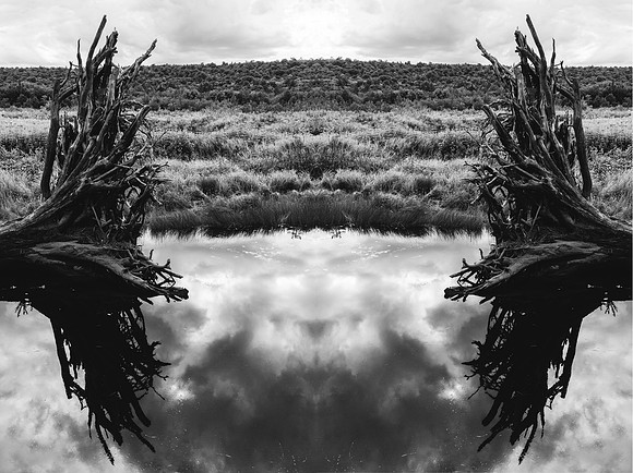 20220815-JAH04425-Combined:  Oswegatchi River, Adirondacks, NY.