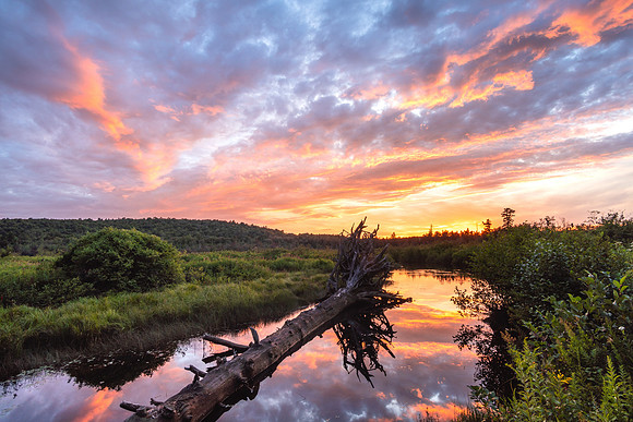 20220815-JAH04497:  Oswegatchi River, Adirondacks, NY.   Camp #41