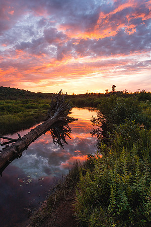 20220815-JAH04510:  Oswegatchi River, Adirondacks, NY.  Camp #41