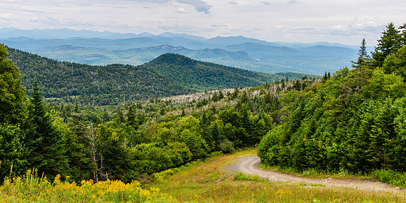 20220817-JAH04598: Gore Mountain, Adirondacks, NY.