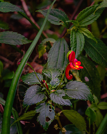 20221009-JAH05899