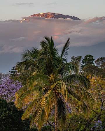 20221010-JAH05979