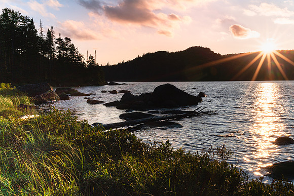 20230819-JAH07269-BrookTrout