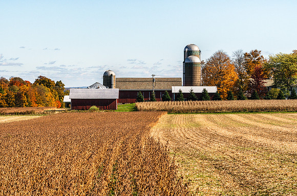 20181030-JAH05617: : A beautiful farming operation near Geneva NY.