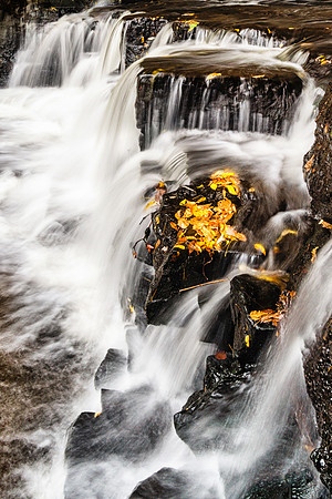 20181015-JAH04940: Allens Creek cascading though Corbetts Glen Nature Park.