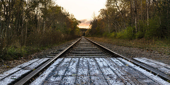 20181018-JAH05107 (2:1) Train tracks divide the forest in McKeever NY.