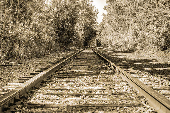 20150606-DSC7817: 1800's-looking train track scene from Corbett's Glen nature park.