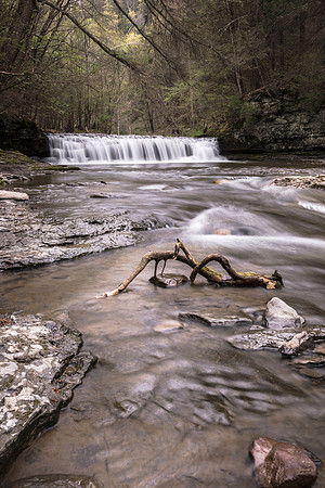 20170429-JAH02934: Enfield Creek cascades through Robert Treman State Park NY.