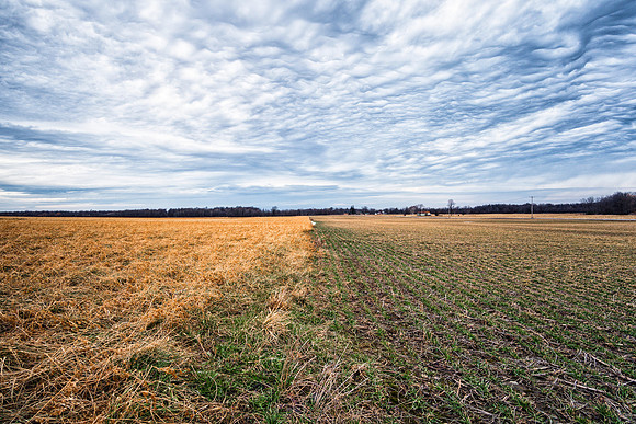 20180127-JAH07537: A split field in January, a rare scene without snow near Cayuga Lake NY.