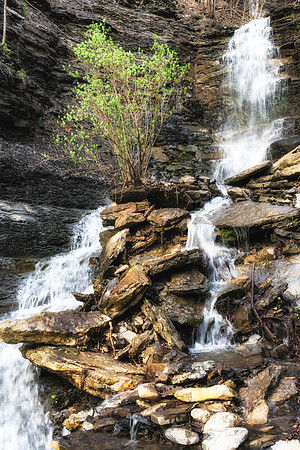 20170422-JAH02416: Fall Brook (aka Three Falls) Geneseo NY.