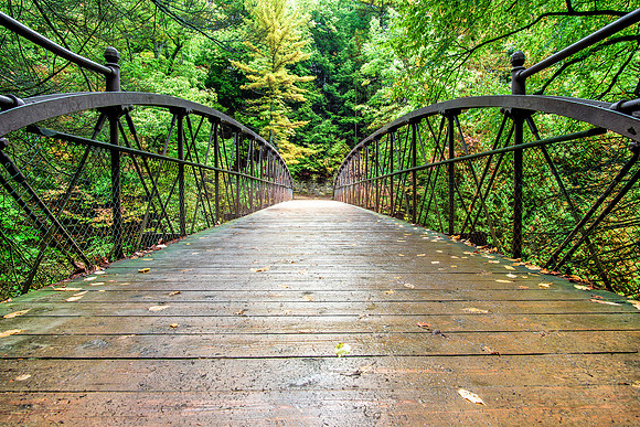 20161008-DSC3562: A bridge over Glen Creek in Watkins Glen State Park NY.