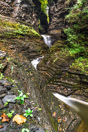 20161008-DSC3568: Glen Creek flowing through Watkins Glen State Park NY.