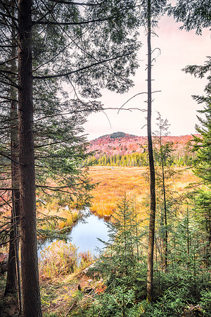 20171021-JAH07269: Chubb Pond Area in Blue Mountain Lake, Adirondacks NY.