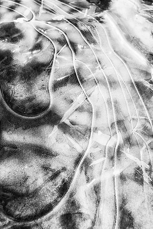 20181205-JAH05814: Ice on the Gorge Trail at Robert Treman State Park NY.