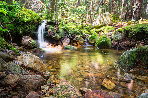 20140809-DSC2813: Somewhere along the trail to Gothics Mtn, Adirondacks NY.