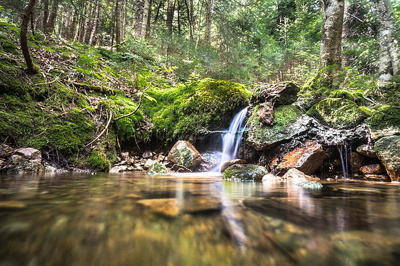 20140809-DSC2823Somewhere along the trail to Gothics Mtn, Adirondacks NY.