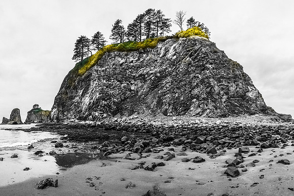 20160624-DSC1622: Sea Stack at Rialto Beach, Olympic National Park, Washington.