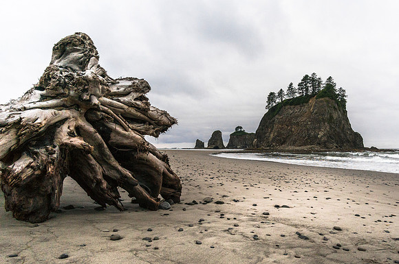 20160624-DSC1665: Driftwood and Sea Stacks at Rialto Beach, Olympic National Park, Washington.