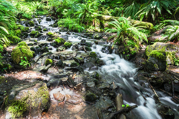 20160625-DSC1780: Cascade along the Sol Duc trail in Olympic National Park, Washington.