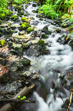 20160625-DSC1782: Cascade along the Sol Duc trail in Olympic National Park, Washington.