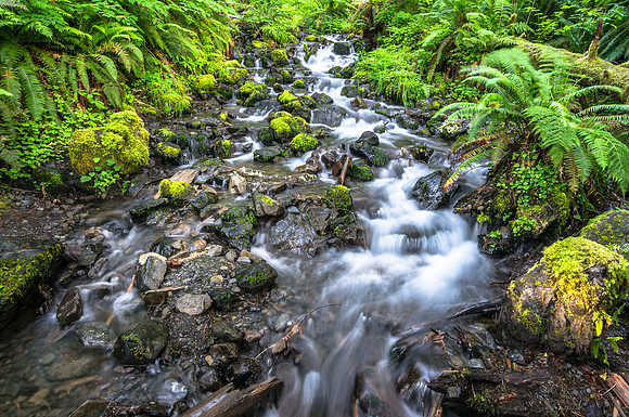 20160625-DSC2051: Cascade along the Sol Duc trail in Olympic National Park, Washington.