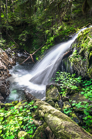 20160626-DSC2364: Hidden waterfall off the Sol Duc trail in Olympic National Park, Washington.