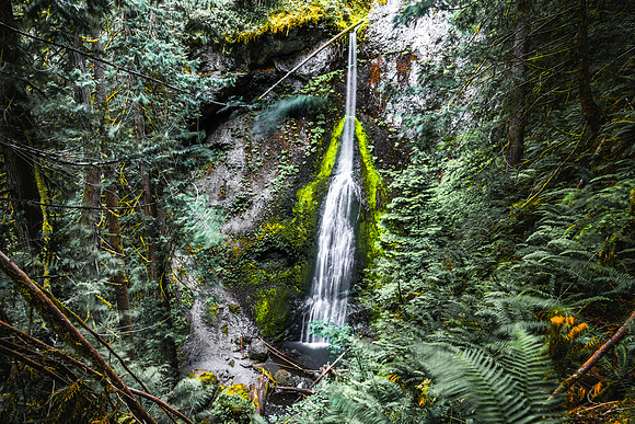 20160626-DSC2453: Marymere Falls near Lake Crescent, Olympic Peninsula Washington.