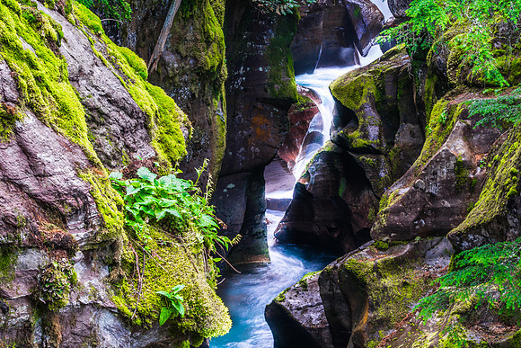 20140830-DSC3593: Avalanche Gorge in  Glacier National Park, Montana.