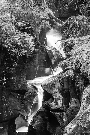 20140830-DSC3595: Avalanche Gorge in  Glacier National Park, Montana.