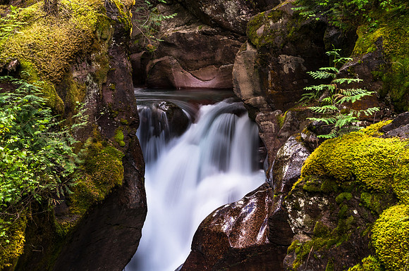 20140830-DSC3641: Avalanche Gorge in  Glacier National Park, Montana.