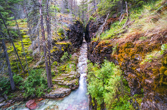 20140901-DSC4599: A creek flows near Baring Falls in Glacier National Park, Montana.