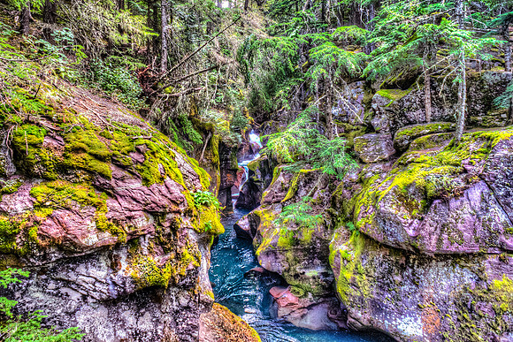 20140830_DSC3576: Avalanche Gorge in  Glacier National Park, Montana.
