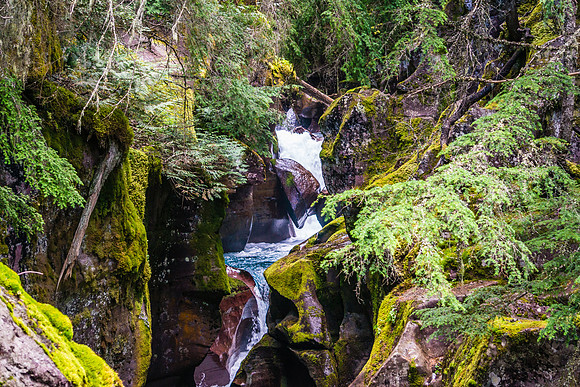 20140830-DSC3584: Avalanche Gorge in  Glacier National Park, Montana.