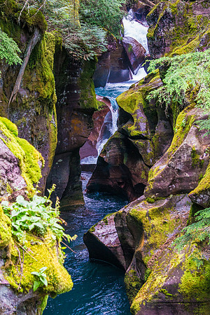 20140830-DSC3590: Avalanche Gorge in  Glacier National Park, Montana.