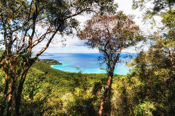 20160229-DSC9604: Trunk Bay on St. John, US Virgin Islands.