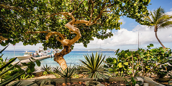 20160303-DSC0234: Cooper Island in the British Virgin Islands. (2x1 image size)