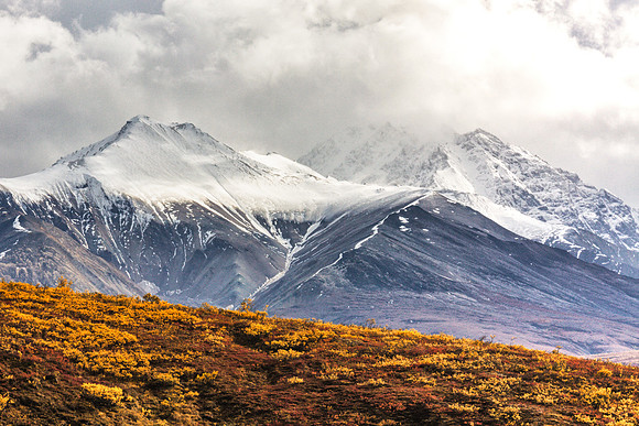 20120902-IMG_2604: Denali National Park, Alaska.