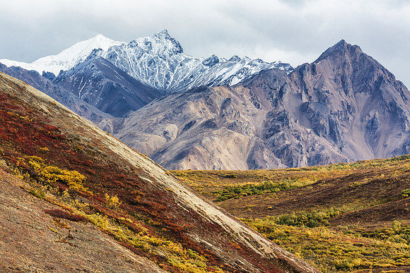 20120902-IMG_2571: Denali National Park, Alaska.